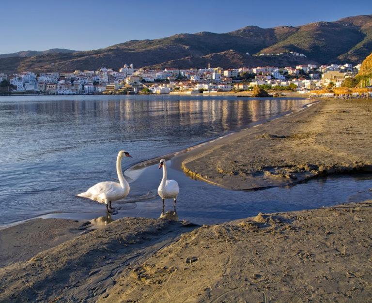 Πλατανακι 2 Seaview Apartment Andros Town Exterior foto